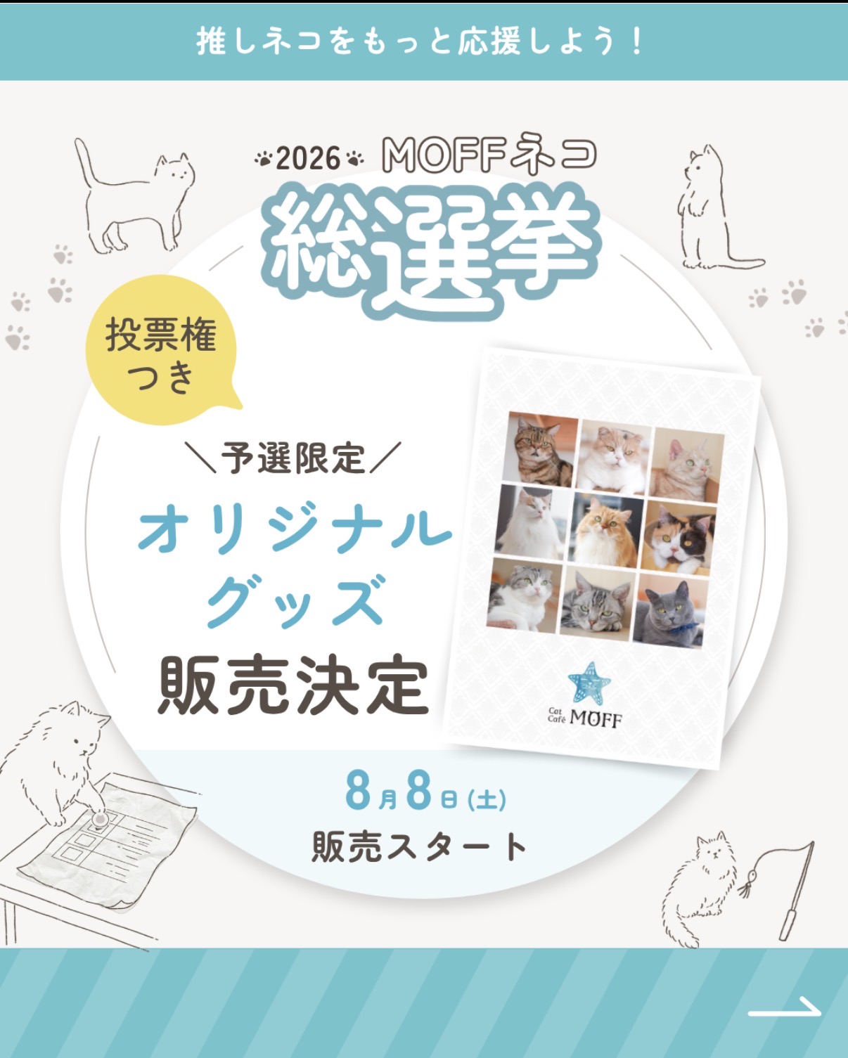 MOFFオリジナルクリアファイル