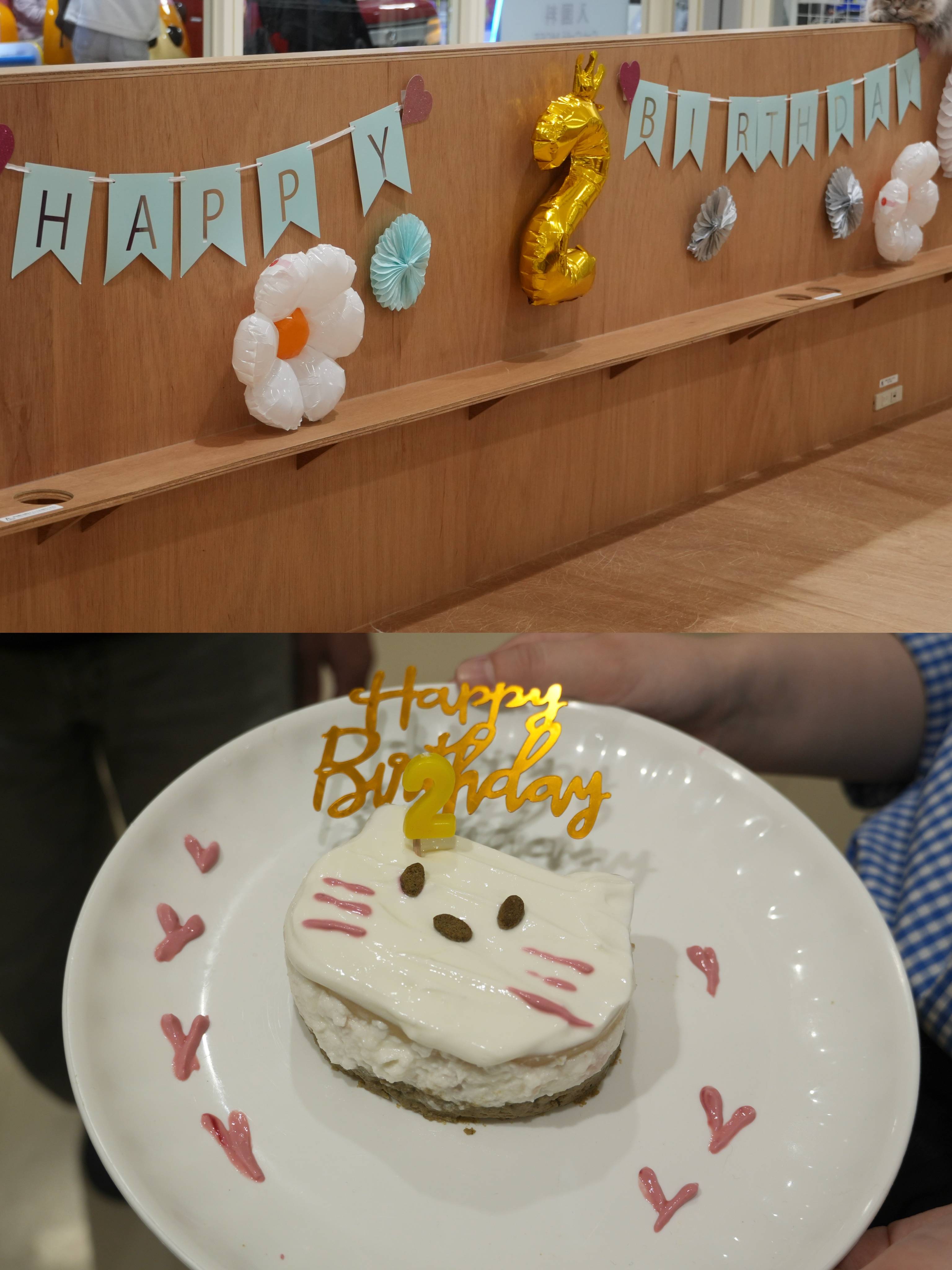 ネコちゃんたちのお誕生日会？