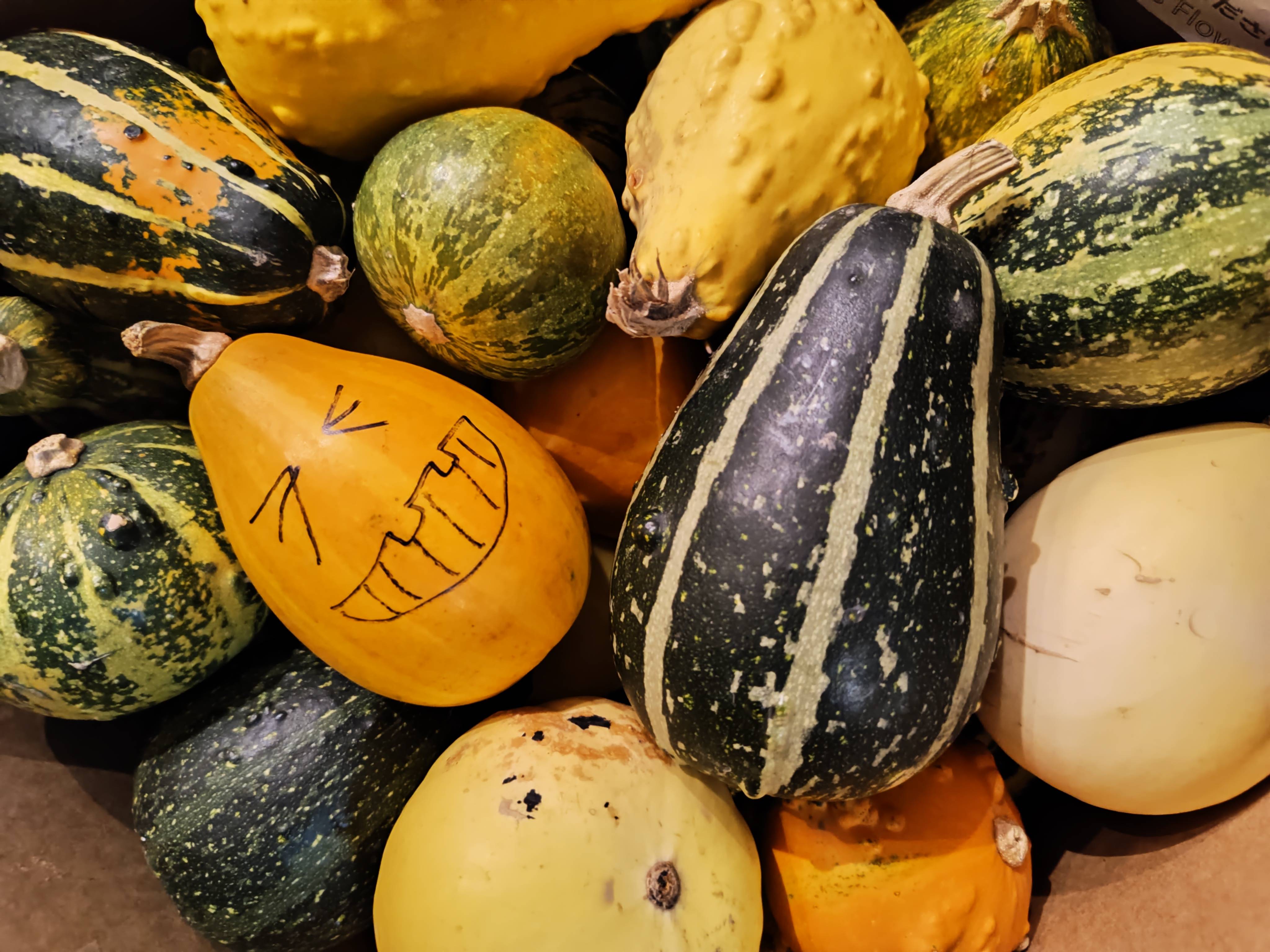 お花でハロウィンを盛り上げませんか？