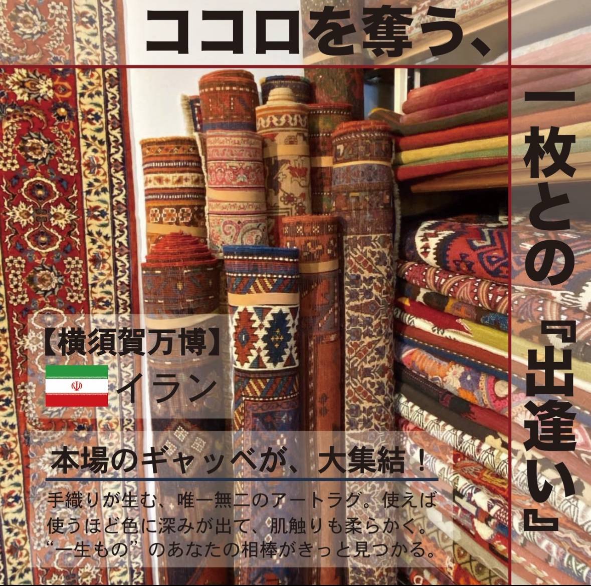 本場のギャッベが、大集結！