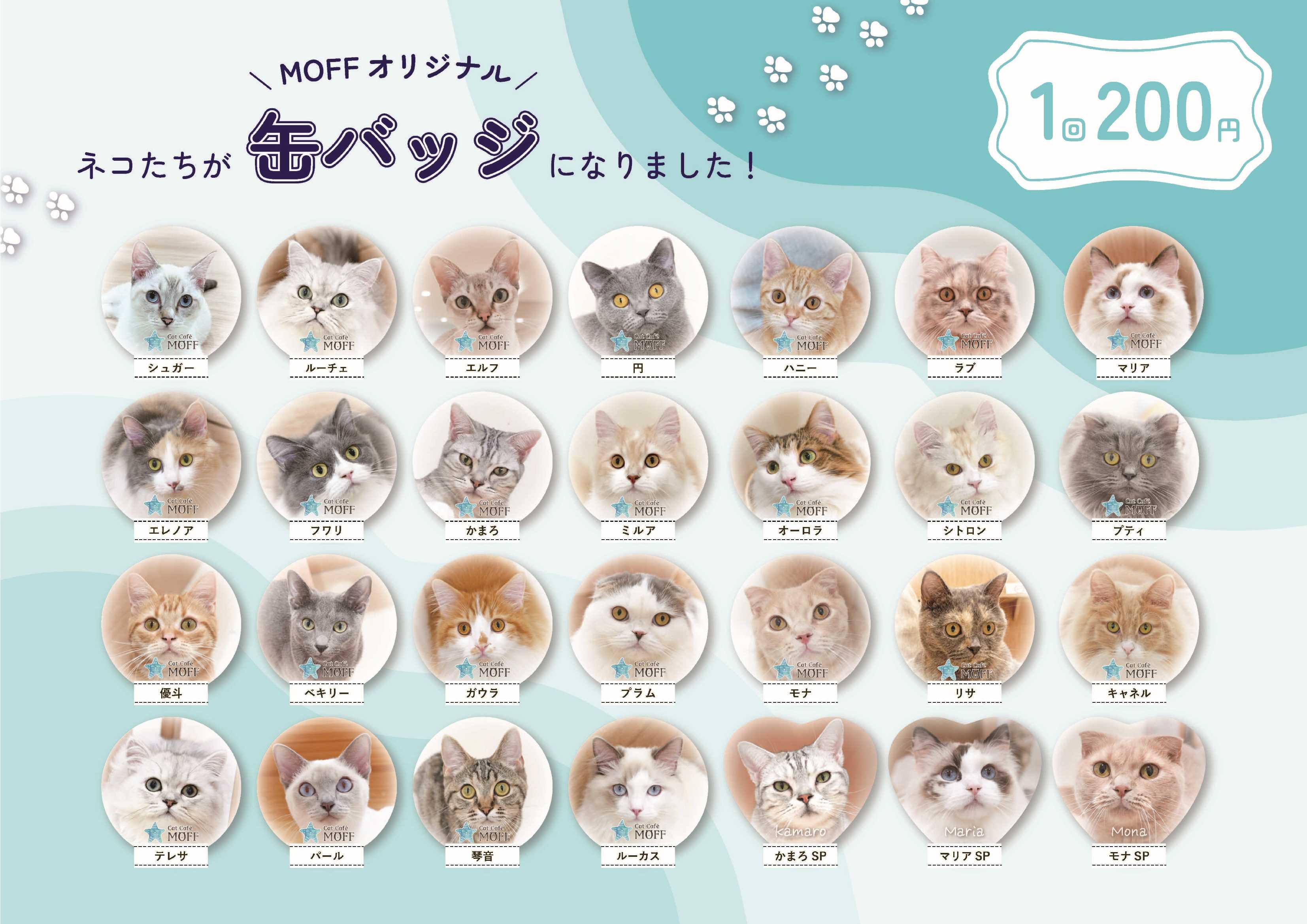 『スペシャル缶バッチ第7弾』好評発売中！