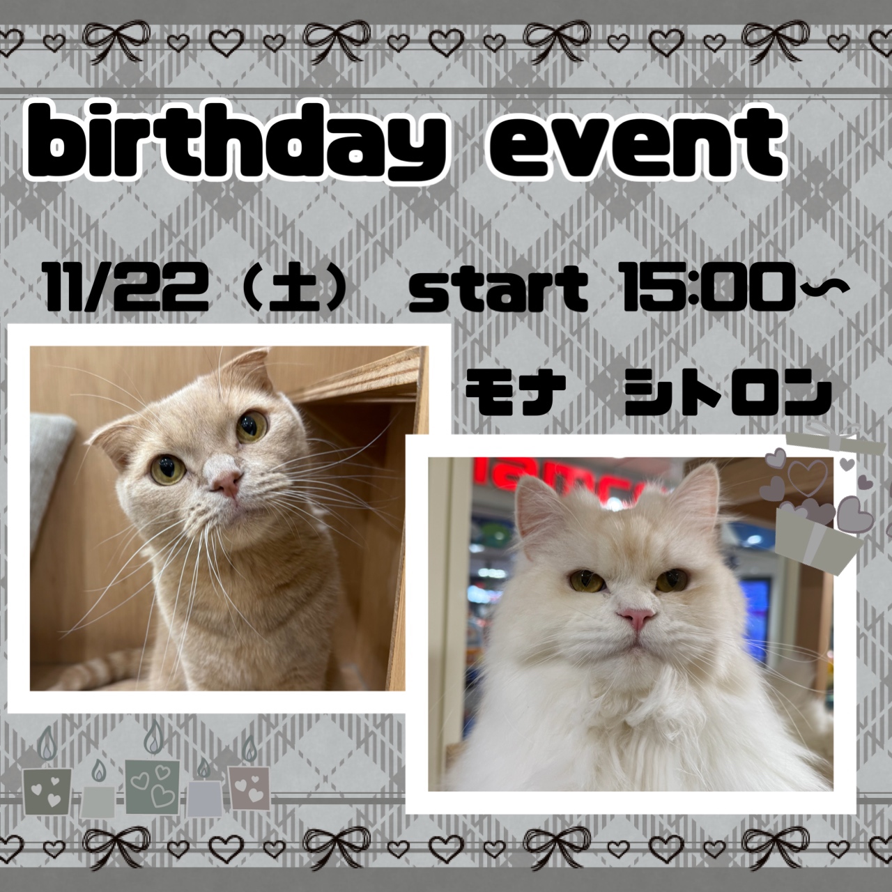 『11月お誕生日会のお知らせ』