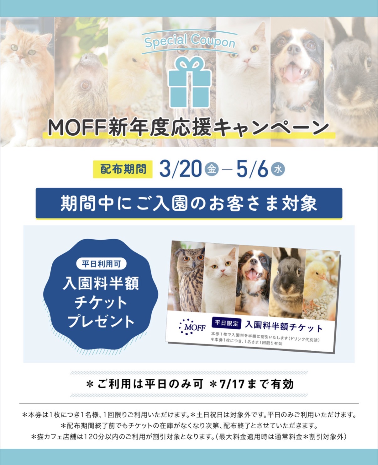 MOFF新年度応援キャンペーン