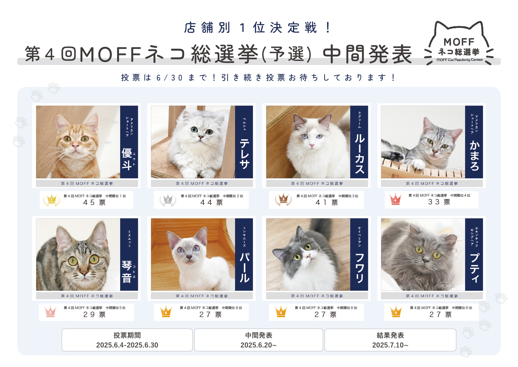 MOFF ネコ総選挙予選（中間発表）