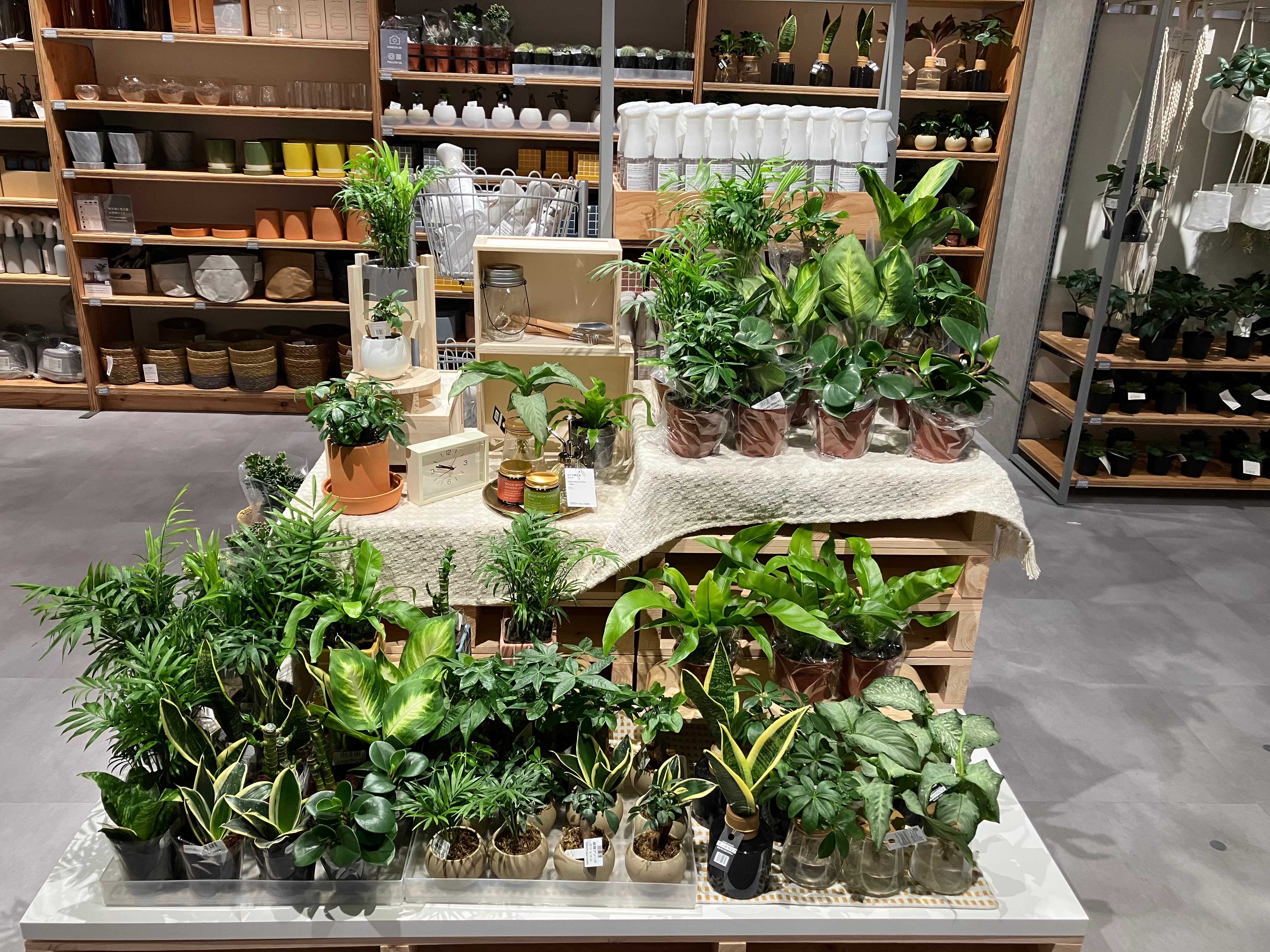 スタプロで見つける、暮しのグリーン