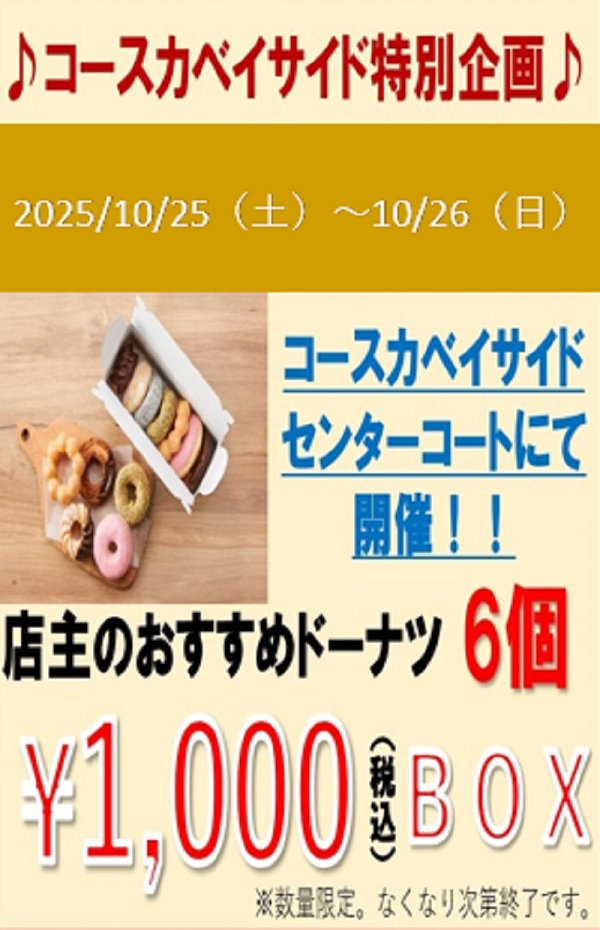 特別開催！人気6個セット特別価格販売