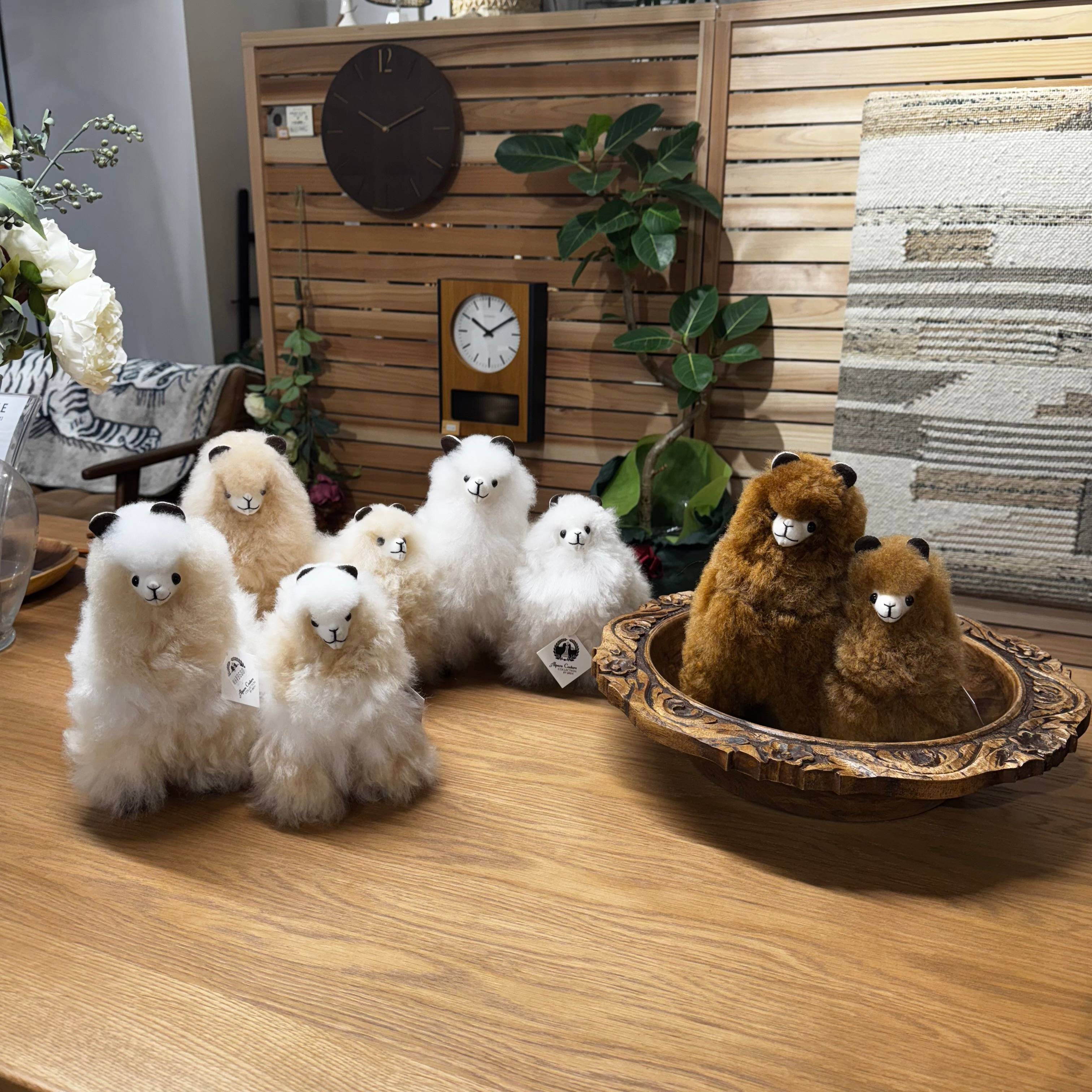 新色が仲間入り？！