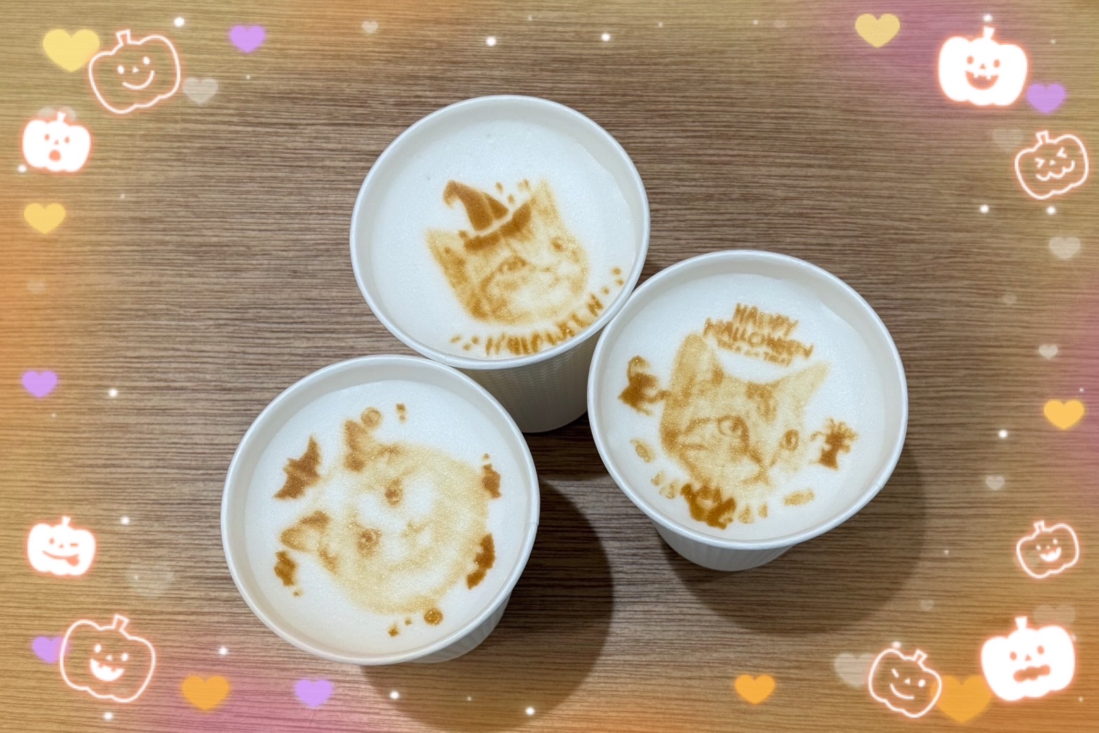 　　Trick or Cat　！！