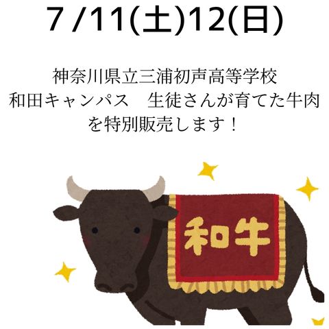 7/11？12？　学生が育てた牛肉を販売