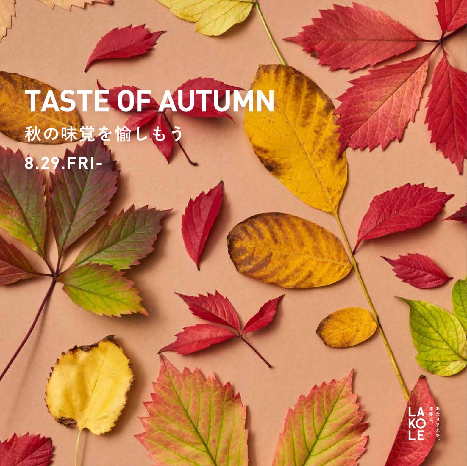 TASTE OF AUTUMN