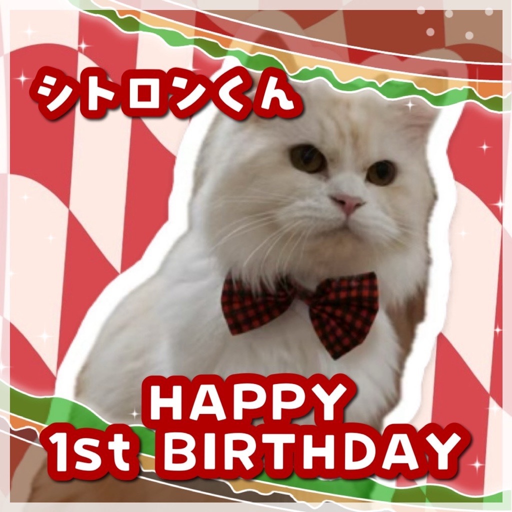 『お誕生日のお知らせ』