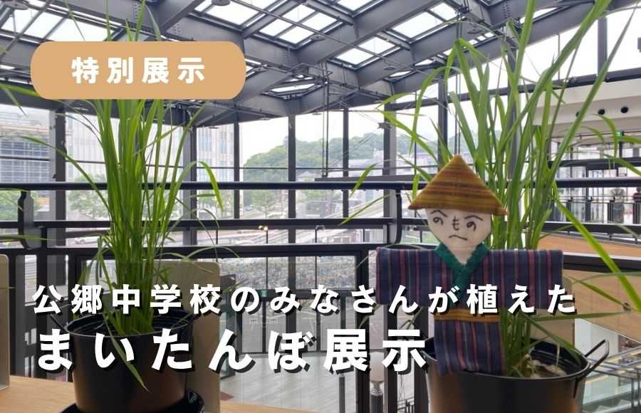 【農大会津プロジェクト】まいたんぼ展示中