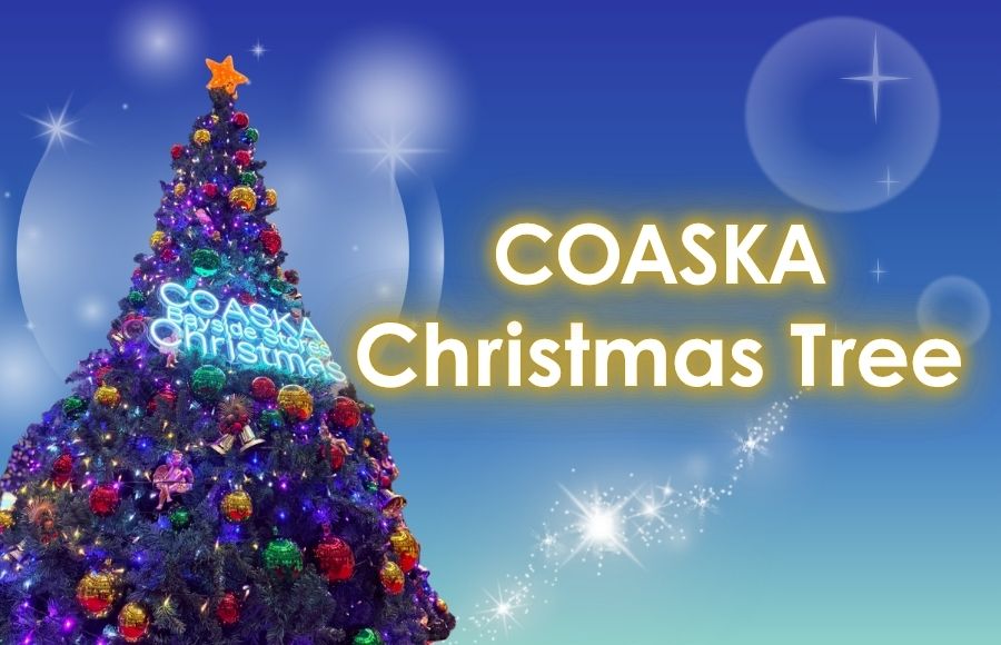 WinterFair！クリスマスツリー登場